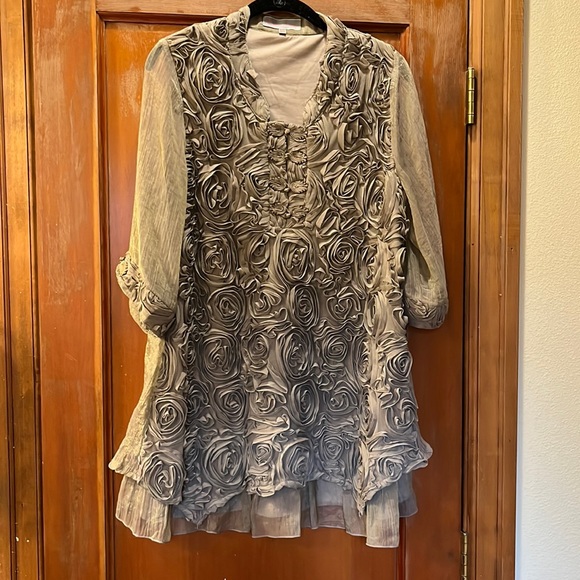 Beautiful Pretty Angel dress / Tunic in iridescent taupe with rosettes. Sz Med - Picture 2 of 5